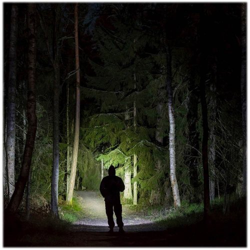 Panther Vision FLATEYE 310 Lumen LED Flashlight - Black BUY IN UAE