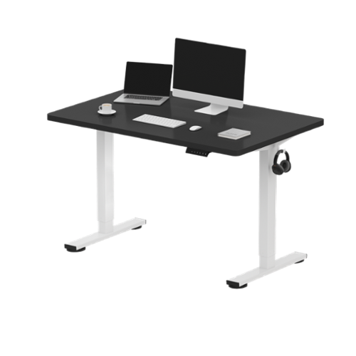 FlexiSpot E2 48''W x 30''D Electric Adjustable Standing Desk