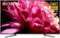 Sony - 65" Class X950G Series LED 4K UHD Smart Android TV-Front_Standard 