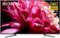 Sony - 75" Class X950G Series LED 4K UHD Smart Android TV-Front_Standard