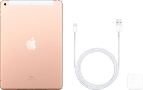 Apple Geek Squad Certified Refurbished iPad (Latest Model