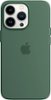 Apple - iPhone 13 Pro Silicone Case with MagSafe - Eucalyptus-Front_Standard