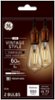 GE - Vintage 560-Lumen, 6W Dimmable ST19 LED Light Bulb, 60W Equivalent (2-Pack) - Clear-Front_Standard