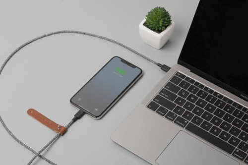 Native Union 4' Fast Charging Lightning-to-USB Type C Cable - Zebra HOW TO BUY
