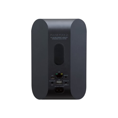 Bluesound PULSE FLEX 2i Wireless Streaming Speaker - Matte Black SHOP ONLINE
