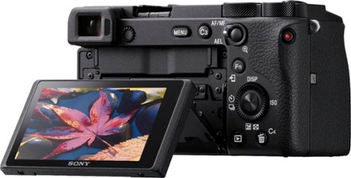 Sony Alpha 6600 APS-C Mirrorless 4K Video Camera (Body Only) - Black BUY IN UAE
