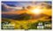 SunBriteTV - Signature 2 Series 55" Class LED Outdoor Partial Sun 4K UHD TV-Front_Standard