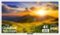 SunBriteTV - Signature 2 Series 43" Class LED Outdoor Partial Sun 4K UHD TV-Front_Standard