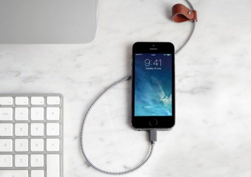 Native Union Apple MFi Certified 3.9' Lightning USB Charging Cable - Zebra WORLDWIDE DELIVERY