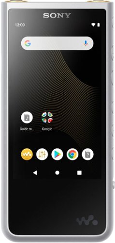 SONY　WALKMAN SONY WALKMAN 64GB Hi-Res ZX Series Audio Player NW-ZX507 Black