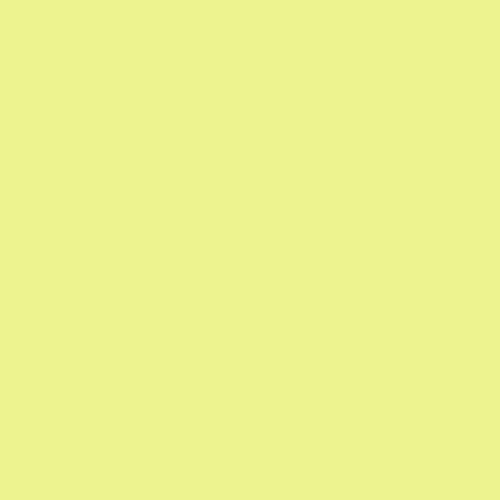 Beats Flex Wireless Earphones - Yuzu Yellow BUY IN MIDDLE EAST