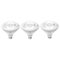 GE - LED+ Linkable Motion PAR38 Flood Light - White-Front_Standard