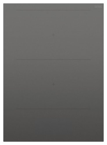Fisher & Paykel - 15" Auxiliary Modular Induction Built-in Electric Cooktop, 2 Zones with SmartZone - Gray