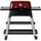 Everdure by Heston Blumenthal - FORCE Gas Grill - Red-Angle_Standard