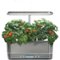 AeroGarden - Harvest Elite Slim 6 pod with Gourmet Herb Seed Pod Kit - Stainless Steel-Front_Standard