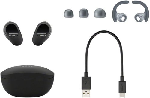 Sony WF-SP800N True Wireless Noise-Cancelling In-Ear Headphones - Black BUY IN MIDDLE EAST