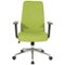 OSP Home Furnishings - Evanston 5-Pointed Star Manager's Chair - Basil-Front_Standard