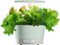 AeroGarden - Harvest 360 6-Pod with Gourmet Herb Seed Pod Kit - Sage-Front_Standard