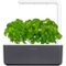 Click & Grow - Smart Garden 3-Pod - Gray-Front_Standard