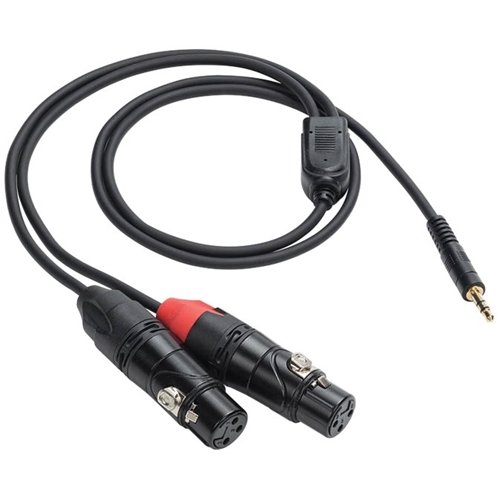 Samson - Audio Cable - Black