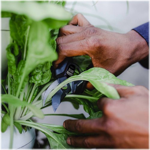 Lettuce Grow - Farmstand 18-Pod - White-Alt_View_Standard_17 