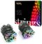 Twinkly - Smart Light String 600 LED RGB Generation II - Multi-Front_Standard 