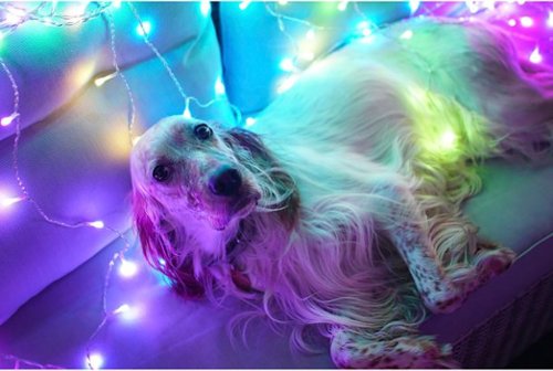 Twinkly Smart Light Curtain 210 RGB + LED Generation II - Multi GLOBAL SHIPPING