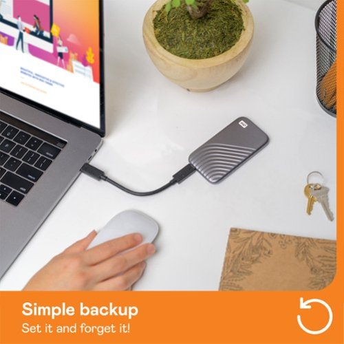 WD My Passport 2TB External USB Type-C Portable SSD - Space Gray BUY IN CANADA