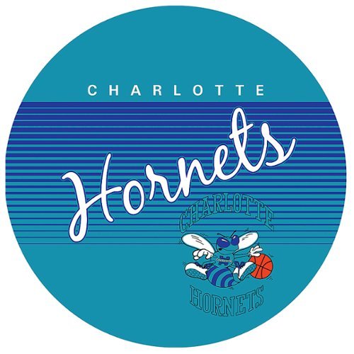 Charlotte Hornets NBA Hardwood Classics Chrome Double Ring Neon-Alt_View_Standard_17 
