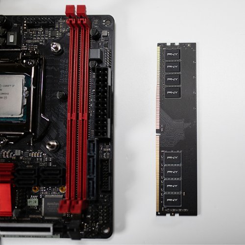 PNY - 8GB 2666MHz DDR4 DIMM Desktop Memory - Black-Alt_View_Standard_13 