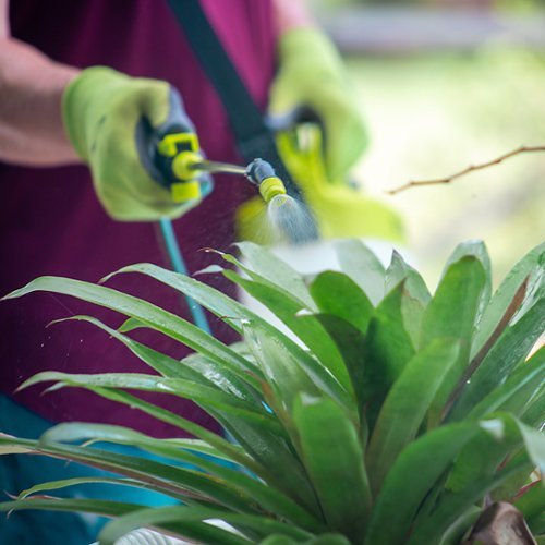 Snow Joe - Cordless All Purpose Chemical Sprayer - Green-Alt_View_Standard_23 