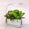 AeroGarden - Sprout - Easy Setup - Healthy cooking garden kit – 3 Gourmet Herb Pods included - White-Alt_View_Standard_16 