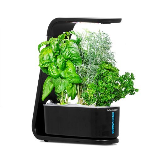 AeroGarden - Brote - Negro