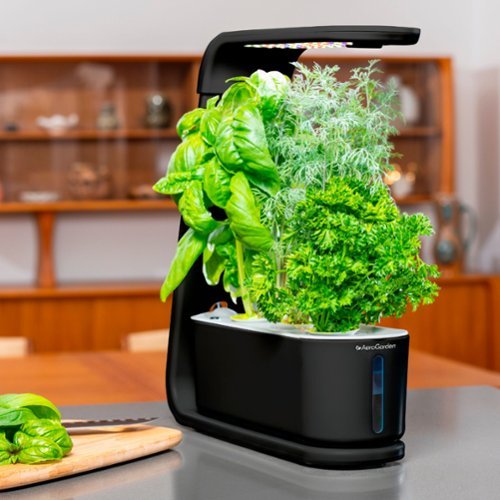 AeroGarden - Brote - Negro