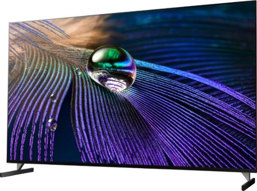 【送料無料】SONY 2021年製 65型 BRAVIA XRJ-65A90J SONY 65インチ 4K有機ELテレビ XRJ65A90J
