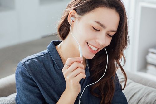 Moshi - Mythro Lightning Wired In-Ear Headphone - Silver-Alt_View_Standard_16 