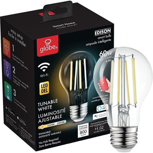Globe Electric LED Light Bulb