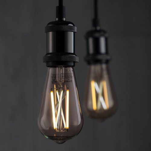 Geeni LUX ST19 Wi-Fi Smart Edison Bulb (2-Pack) - White HOW TO BUY