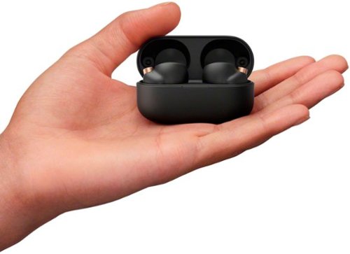 Sony WF1000XM4 True Wireless Noise Cancelling In-Ear Headphones - Black GLOBAL SHIPPING