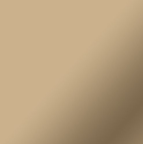 Cricut Smart Vinyl Matte Metallic – 12 ft - Champagne WORLDWIDE DELIVERY
