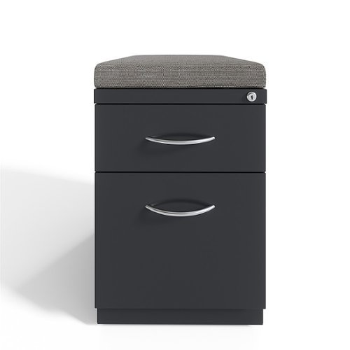 Hirsh 20-inch Deep Mobile Pedestal File 2-Drawer Box-File with Arch Pull and Seat Cushion, Charcoal/Chinchilla - Charcoal / Chinchilla