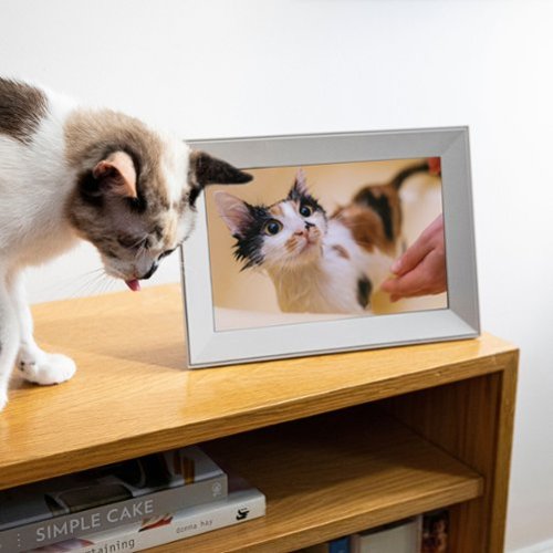 Aura Buddy 10.1'' LCD Wi-Fi Digital Photo Frame - Biscuit WHERE TO BUY