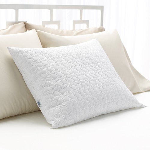

Sleep Innovations - Quilted Memory Foam Micro Cushion Standard Pillow - White