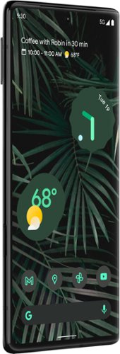 Google Pixel 6 Pro 256GB (Unlocked) Stormy Black GA02258-US