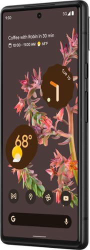 Google Pixel 6 256GB (Unlocked) Stormy Black GA03900-US