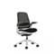 Steelcase - Series 1 Chair with Seagull Frame - Onyx-Angle_Standard
