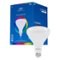 Peace by Hampton - BR40 LED Wi-Fi Smart Floodlight Bulb - Full-Front_Standard