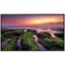Samsung - 50" QBB series LED 4K UHD Digital Signage Display - Black-Angle_Standard