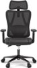 ACGAM - Breathable Mesh Ergonomic Office & Gaming Chair with Adjustable Lumbar Support, Headrest, Height-Adjustable Armrests - Black-Front_Standard