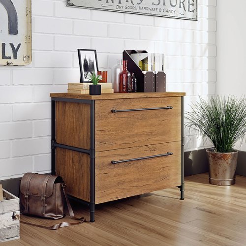2 Drawer Iron City Lateral File Cabinet Checked Oak - Sauder